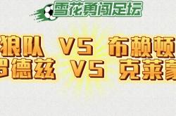 开云体育在线-狼队击败布莱顿，连胜止步两场