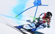 开云体育APP下载-高山滑雪空中技巧发挥惊艳登场