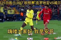 开云体育登录-威尔士意外被淘汰，未能挺进欧预赛半决赛