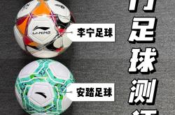 开云体育app-包含欧洲足球盛事精粹剖析，球场情景亮丽的词条