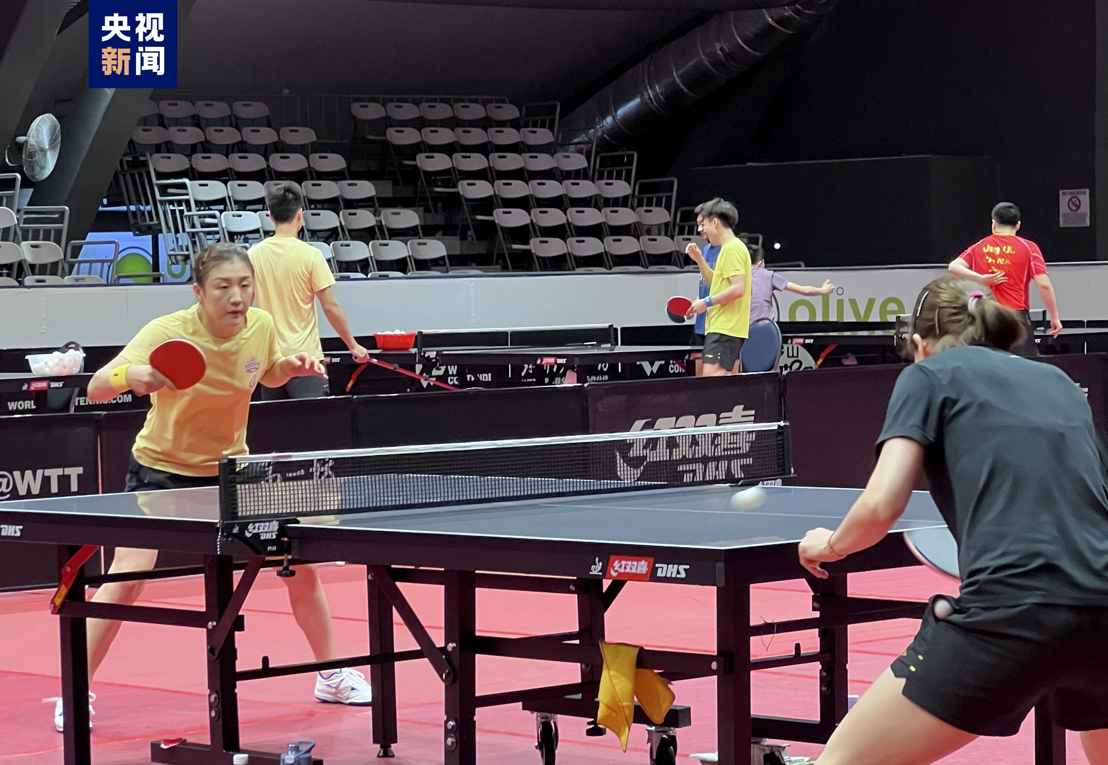 关于活塞队主教练分享球队备战策略的信息 关于活塞队主教练分享球队备战策略的信息