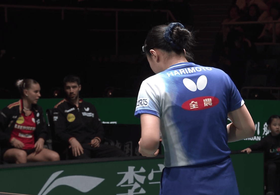 包含奥地利队力克德国队，张本智和扛起全队的词条